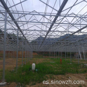 Invernadero de estructura de acero de granja para planta